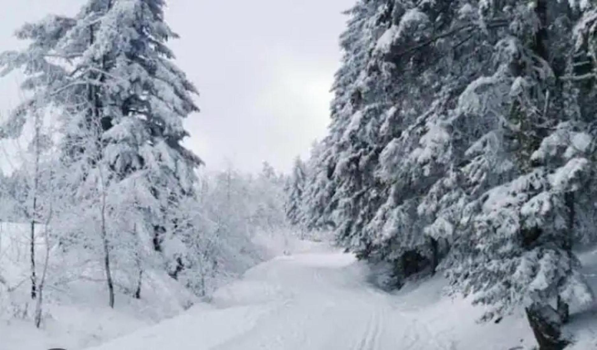 Mountain View 2 Bedroom Apartment Saint Beat Lez Zewnętrze zdjęcie